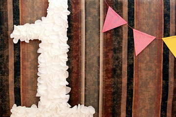 Cover Picture for DIY project on First Birthday Number Photo Prop