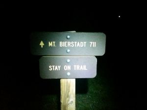 At the start of the Guanella Pass trailhead before dawn.