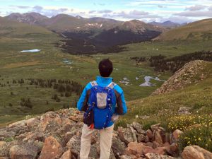 The view after crossing the willow vegetation on Bierstadt trail