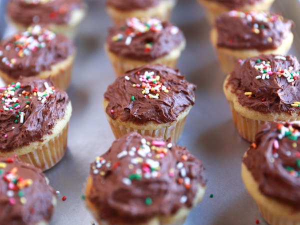 The moist, fluffy and buttery cupcakes with the finger licking milk chocolate frosting.